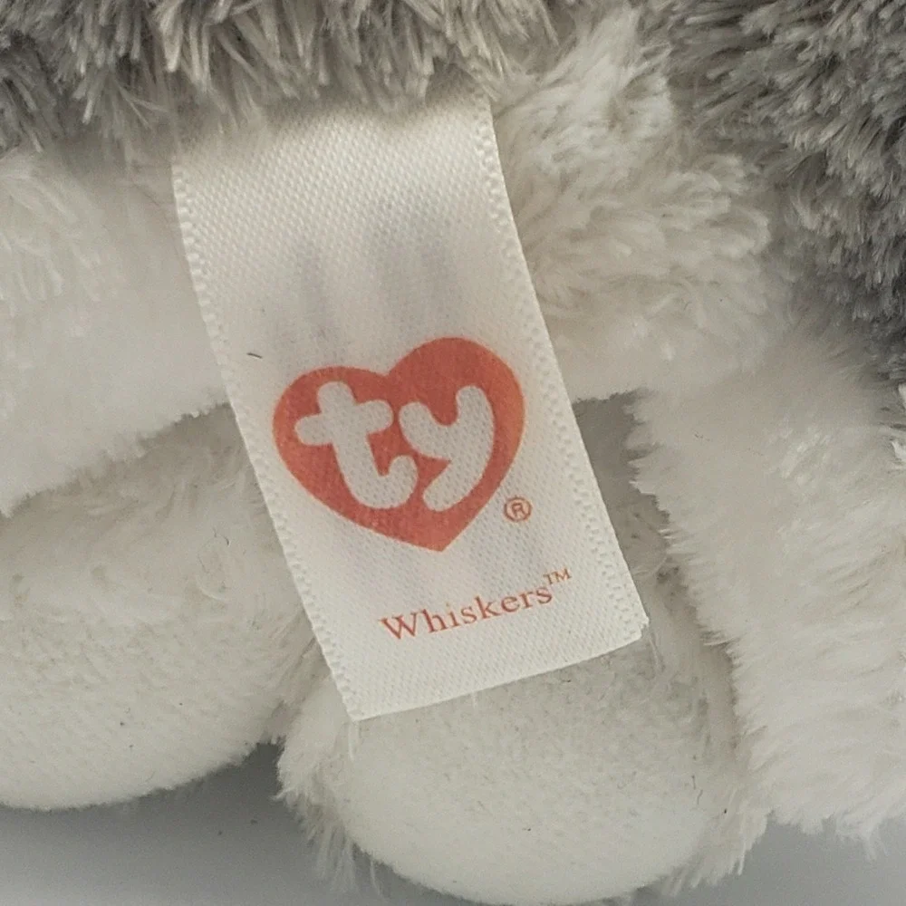 TY 6